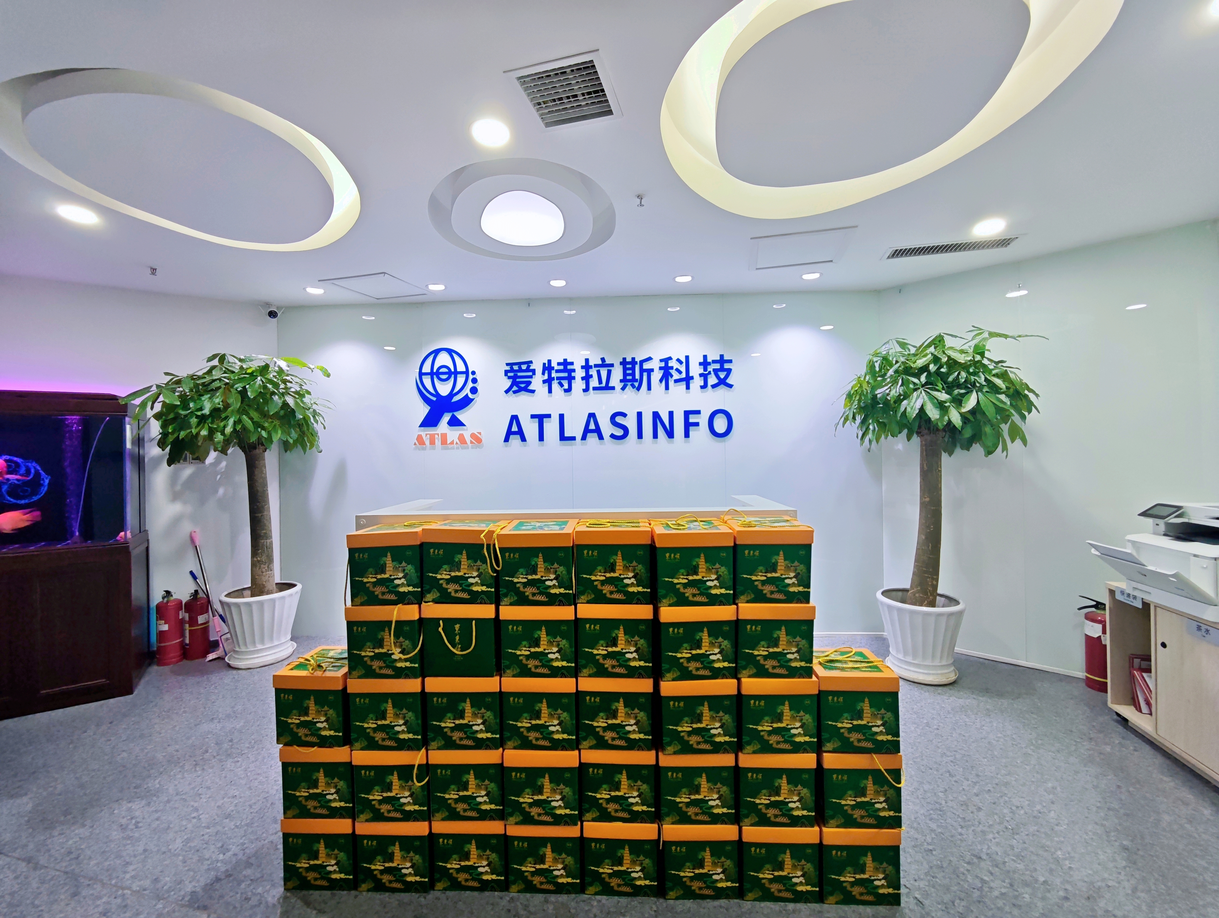 端午團圓時(shí)，思念是粽葉包裹的情